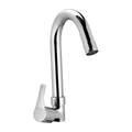 Swan Neck With Swivel Spout