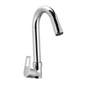 Swan Neck With Swivel Spout